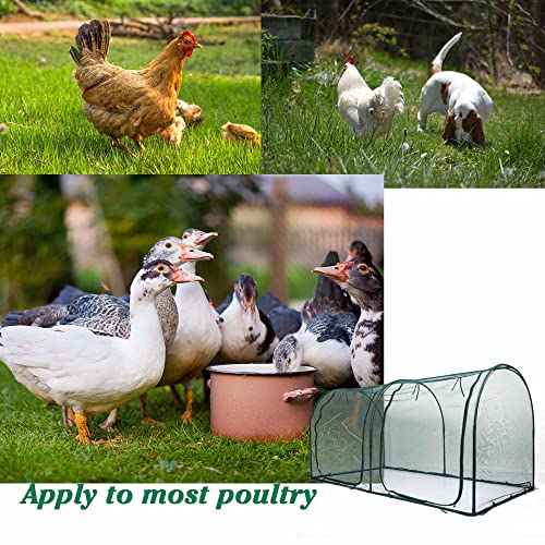 Portable Chicken Run Hen Coop with Metal Frames and 10 Stakes Y8623