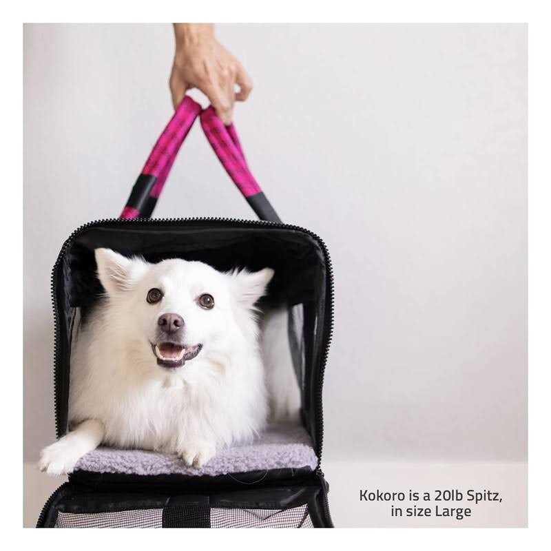 Pet Carrier I62811