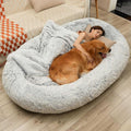 30D Sponge Bean Bag Bed C104