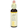 Gorse 20ml N310