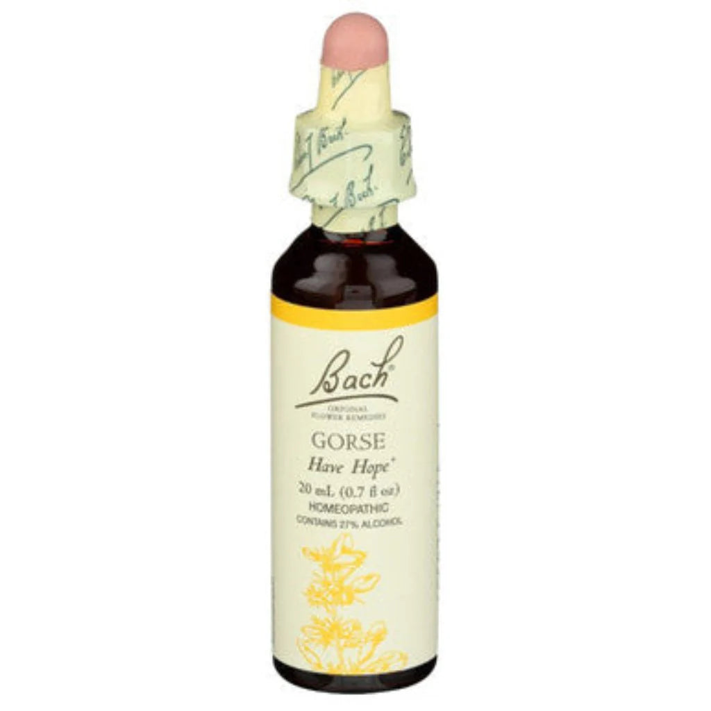 Gorse 20ml N310