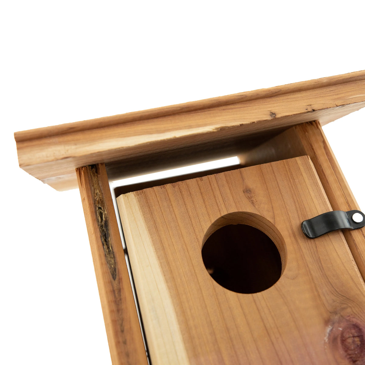 Red Cedar Bluebird Wild Bird House I53171
