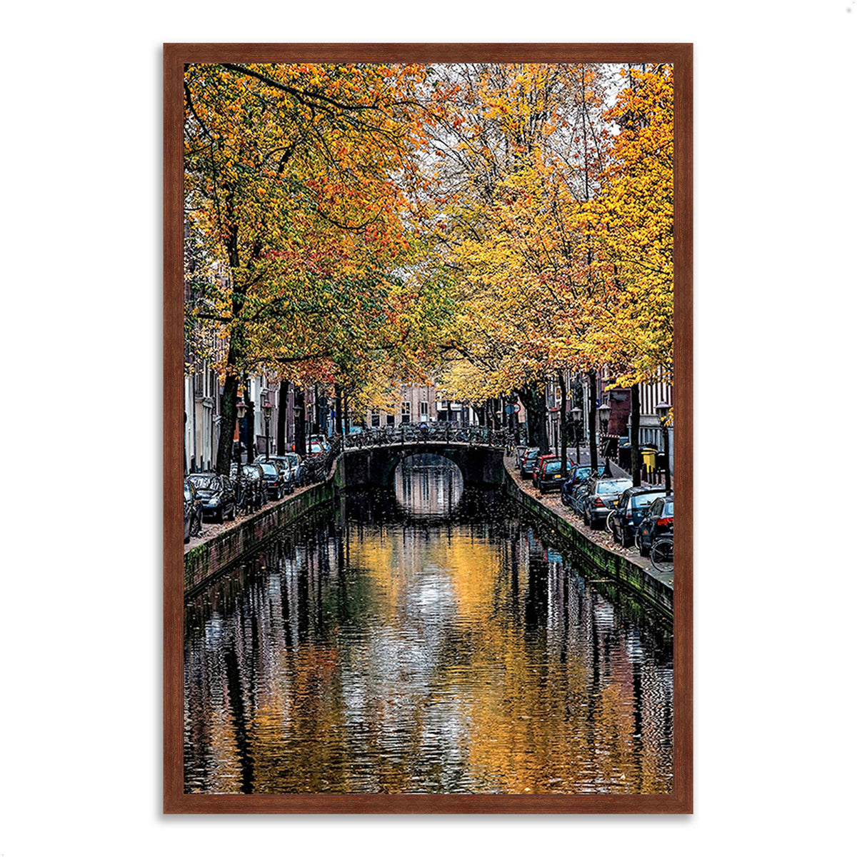 Bronze Framed Photograph Print Z8171