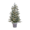 Half Tree in Half Bucket F309