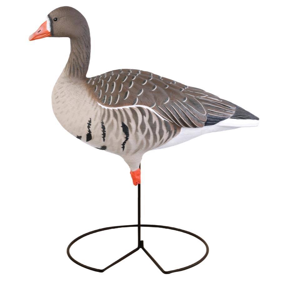Full-Body Specklebelly Decoy Pack O6523