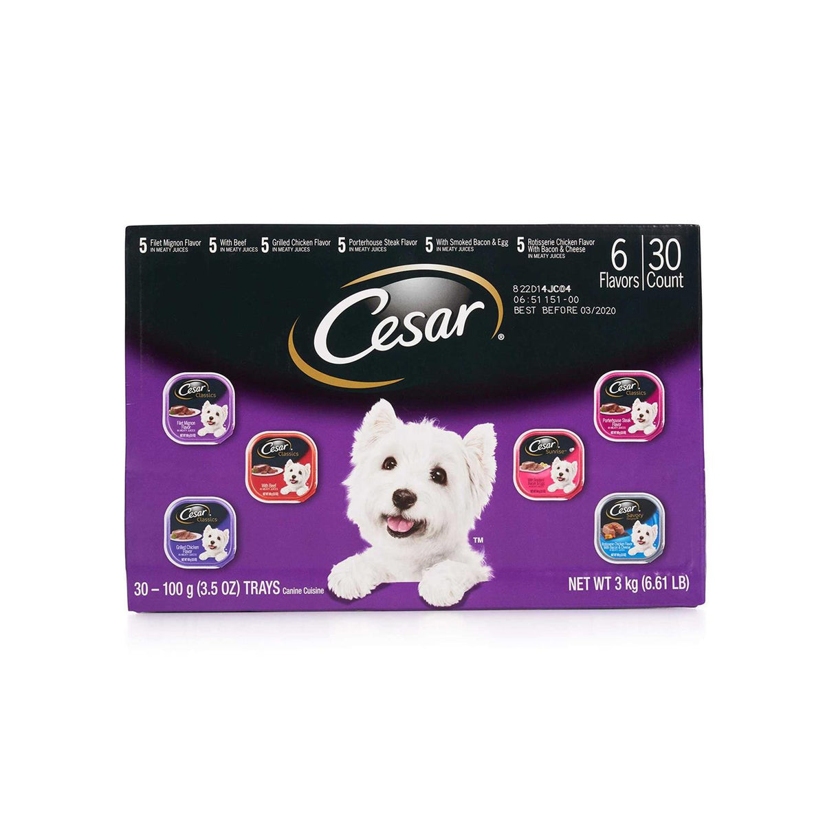 Wet Dog Food D82031