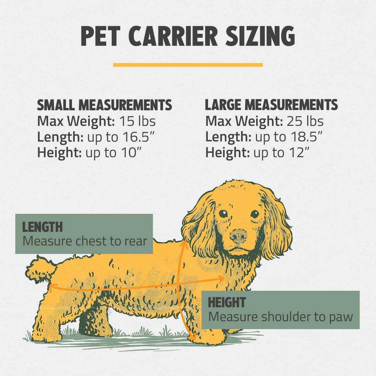 Pet Carrier I62811