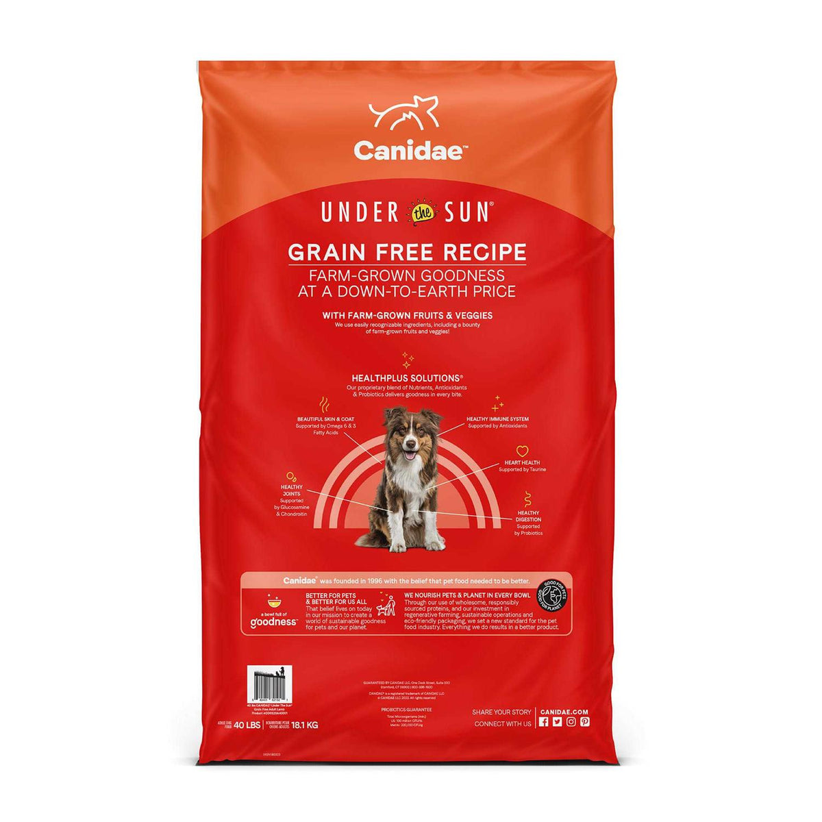 Grain Free Lamb Dry Dog Food K9022