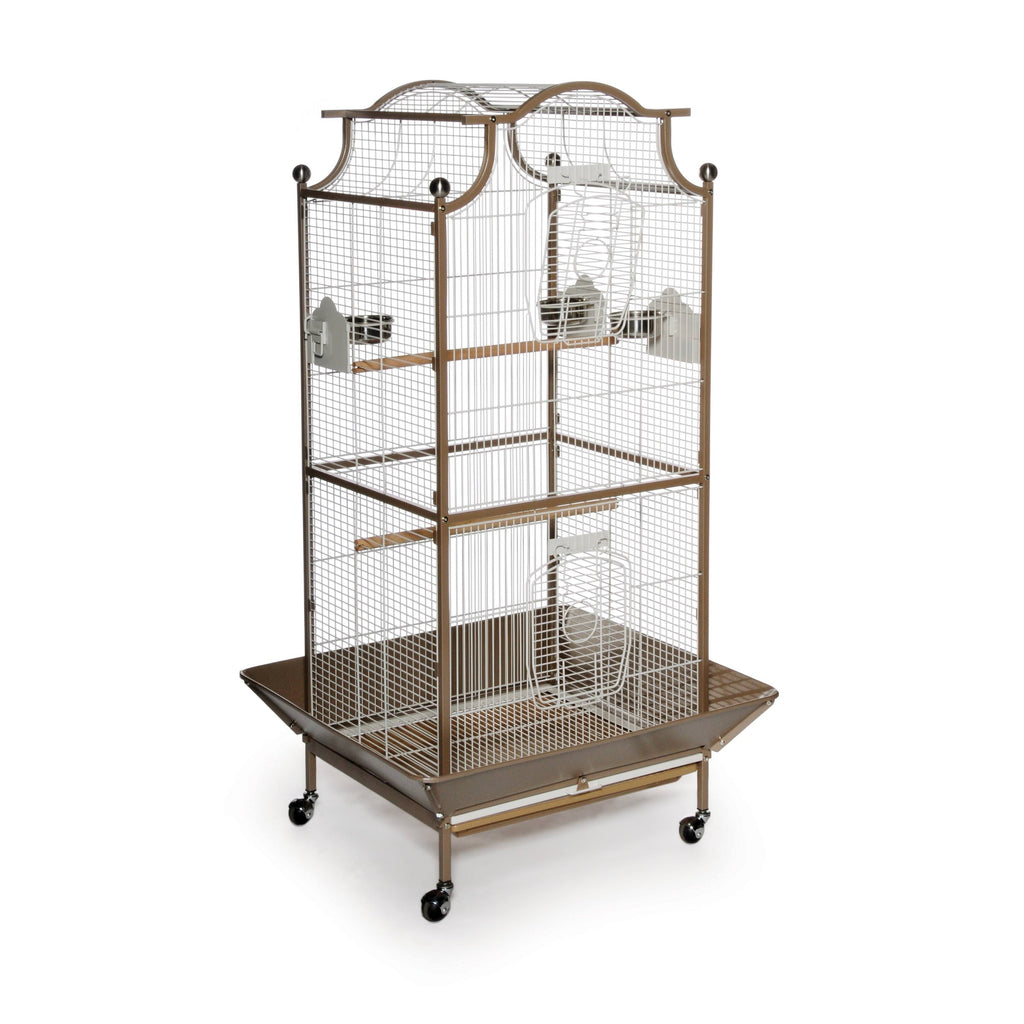 Bird Cage Y8094
