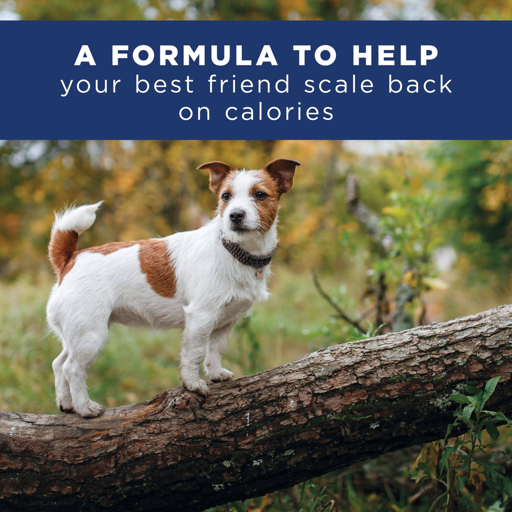 28 lb Chicken Meal Salmon Meal Barley Formula Dog Food G114811