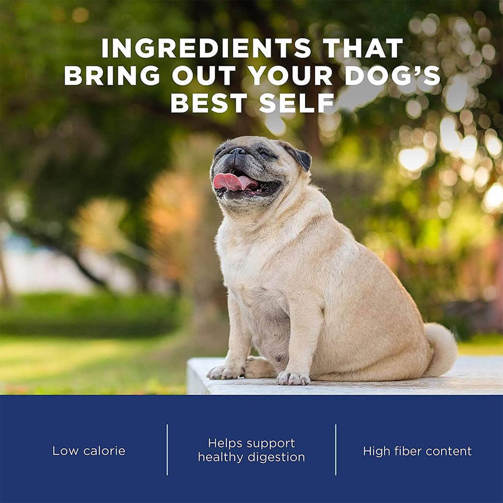 28 lb Chicken Meal Salmon Meal Barley Formula Dog Food G114811