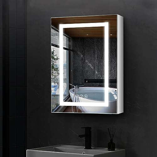 20 X 26 LED Medicine Cabinet with Mirror T248644