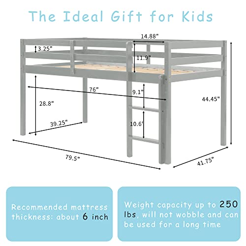 Solid Wood Twin Size Loft Bed with Ladders and Guard Rails V450