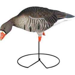 Full-Body Specklebelly Decoy Pack O6523