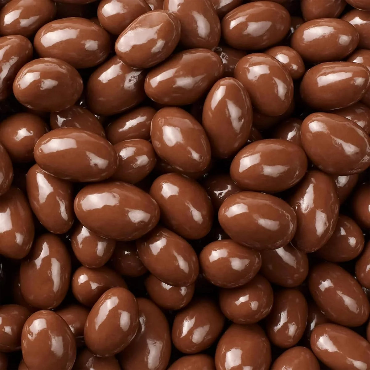 Sugar Free Milk Chocolate Covered Almonds 1 Pound Pack S822