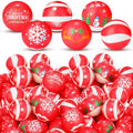 60 Pcs 2.5'' Foam Stress Balls V205144