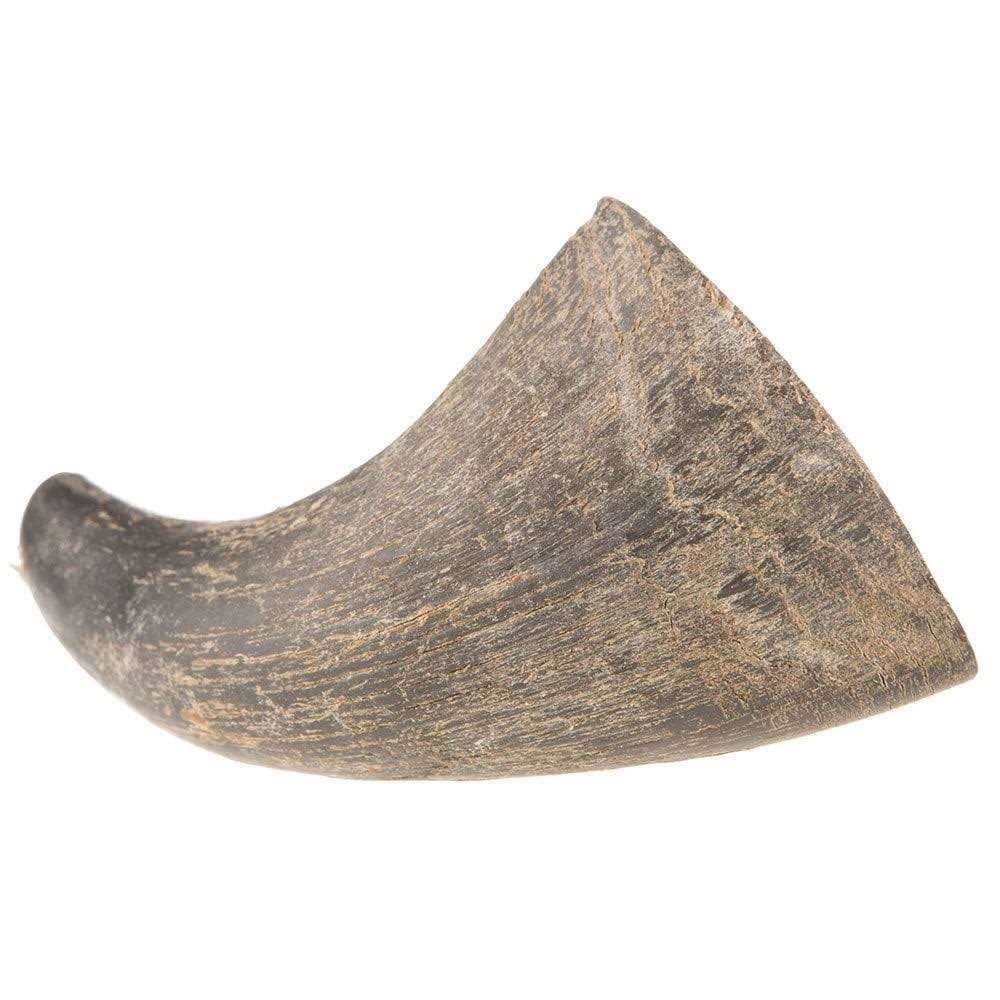 Dog Water Buffalo Horn Small R205037