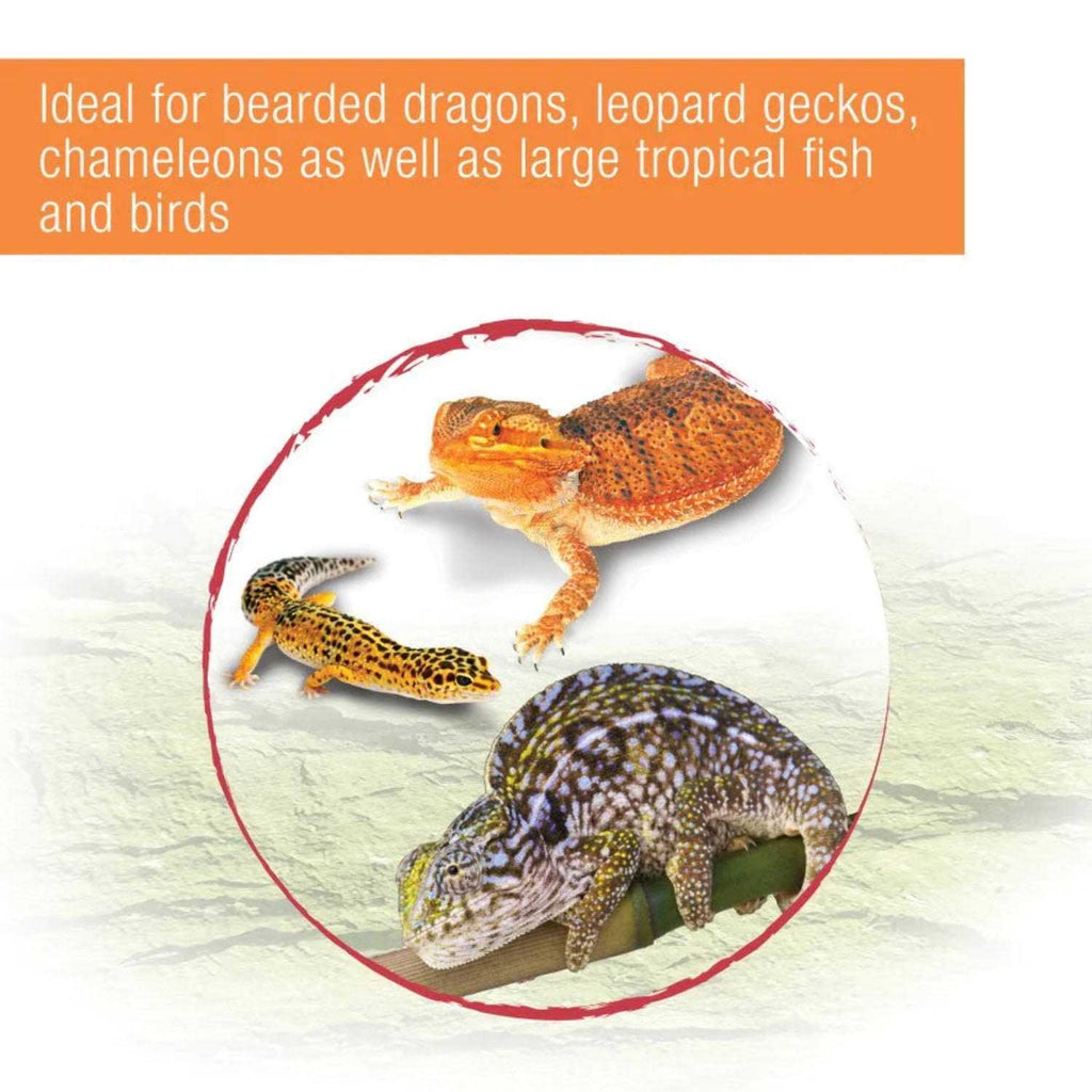 Mealworms Reptile Pet Supplies M30223