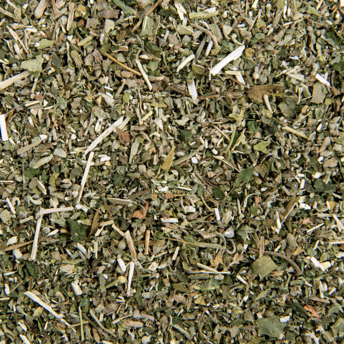 Catnip with Silvervine I3288