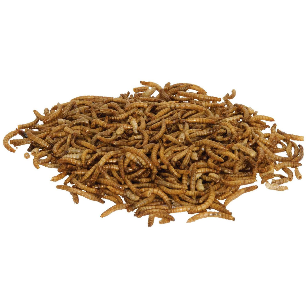 Mealworms Reptile Pet Supplies M30223