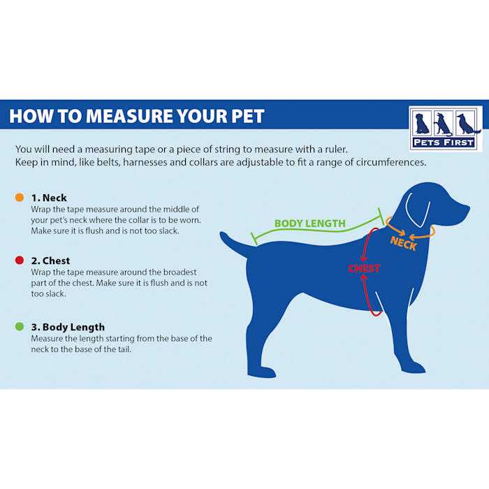 Dog Collar I513
