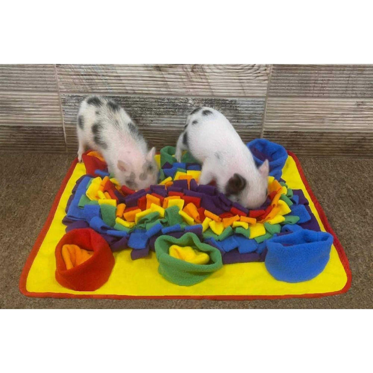 Rainbow Pet Snuffle Mat G831