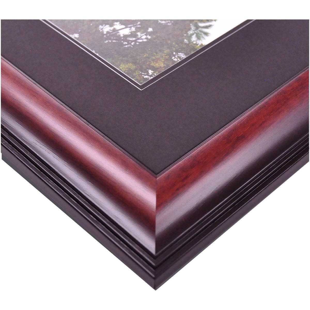Academic Framed Lithograph Q950
