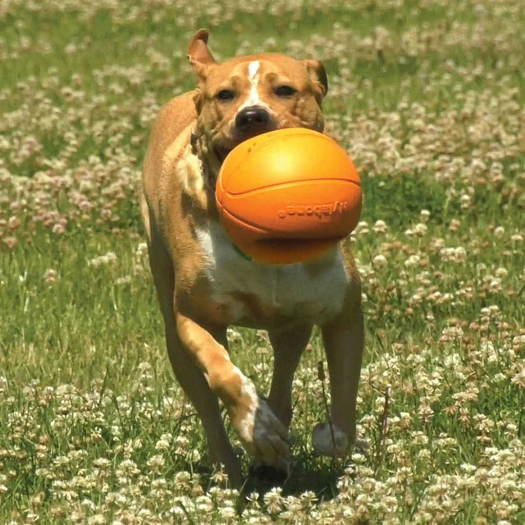 Dog Toy R632