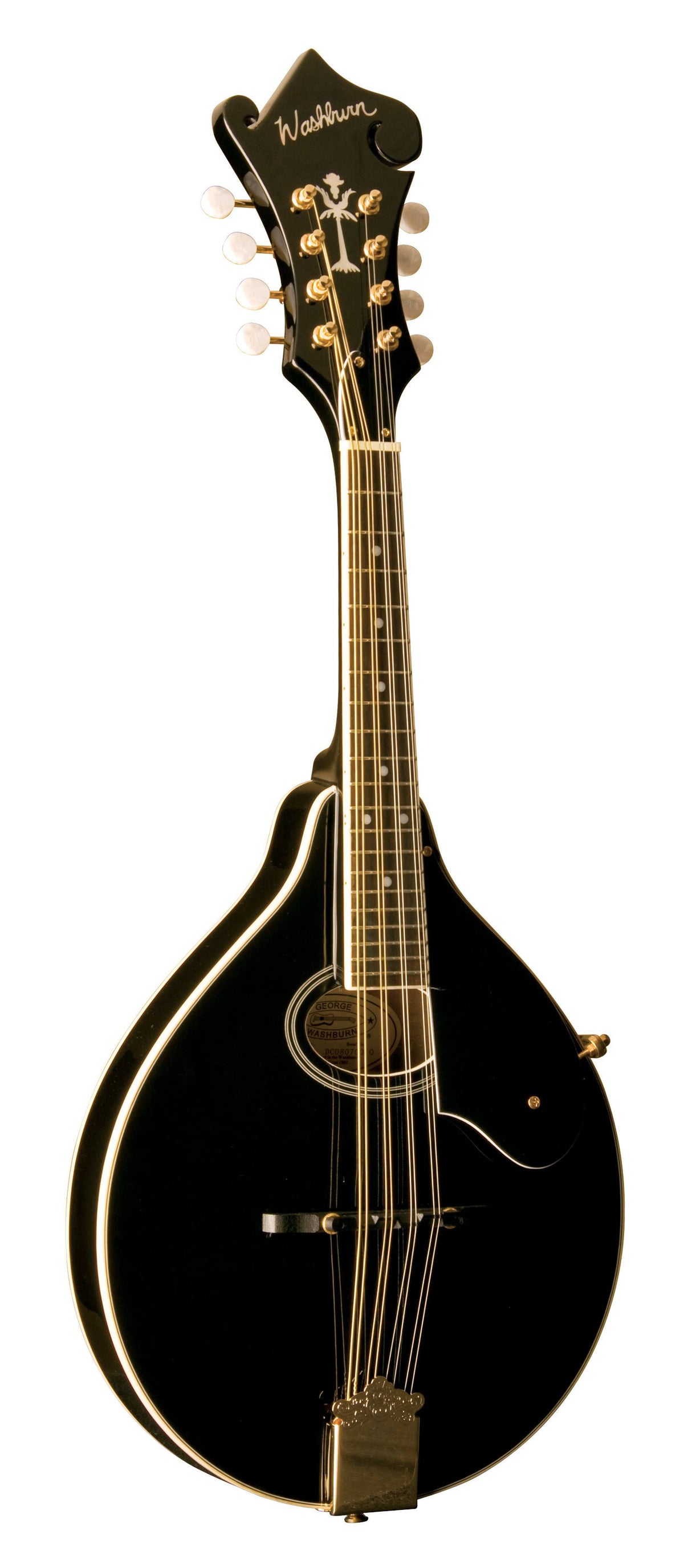 Black A-Style Mandolin W285