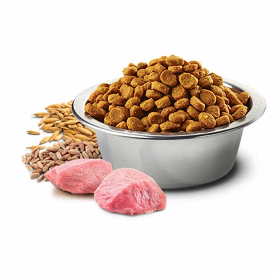 Lamb Spelt Oats and Tropical Fruits Adult Medium Maxi 4.4 lbs R141