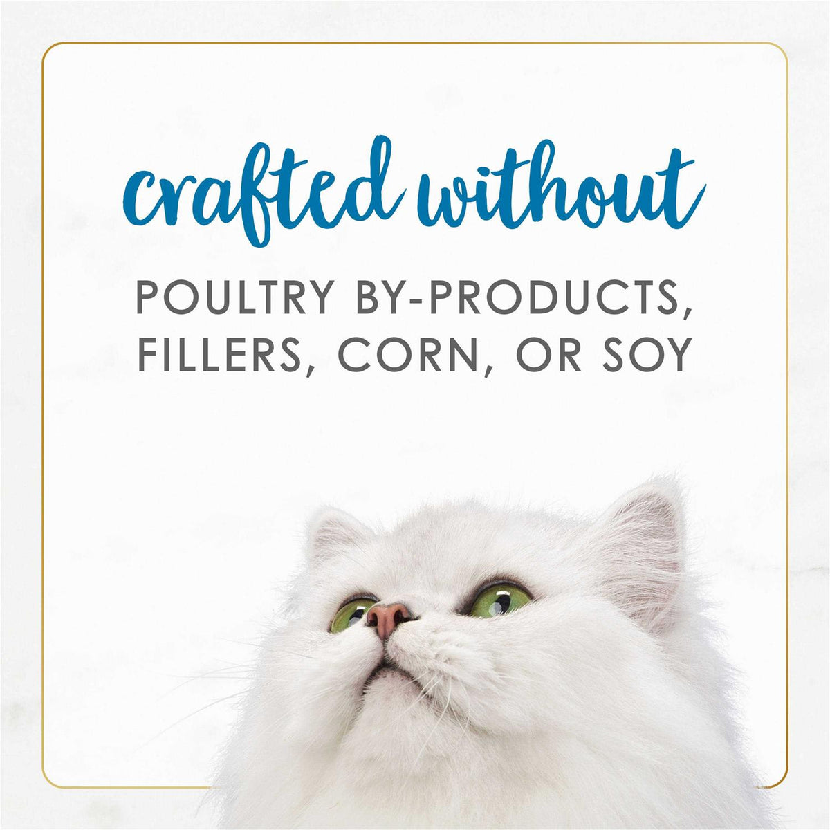 Wet Cat Food Variety Pack Seafood Q6909