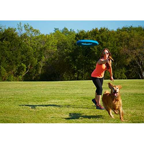 Rugged Flyer Dog Toy J72902