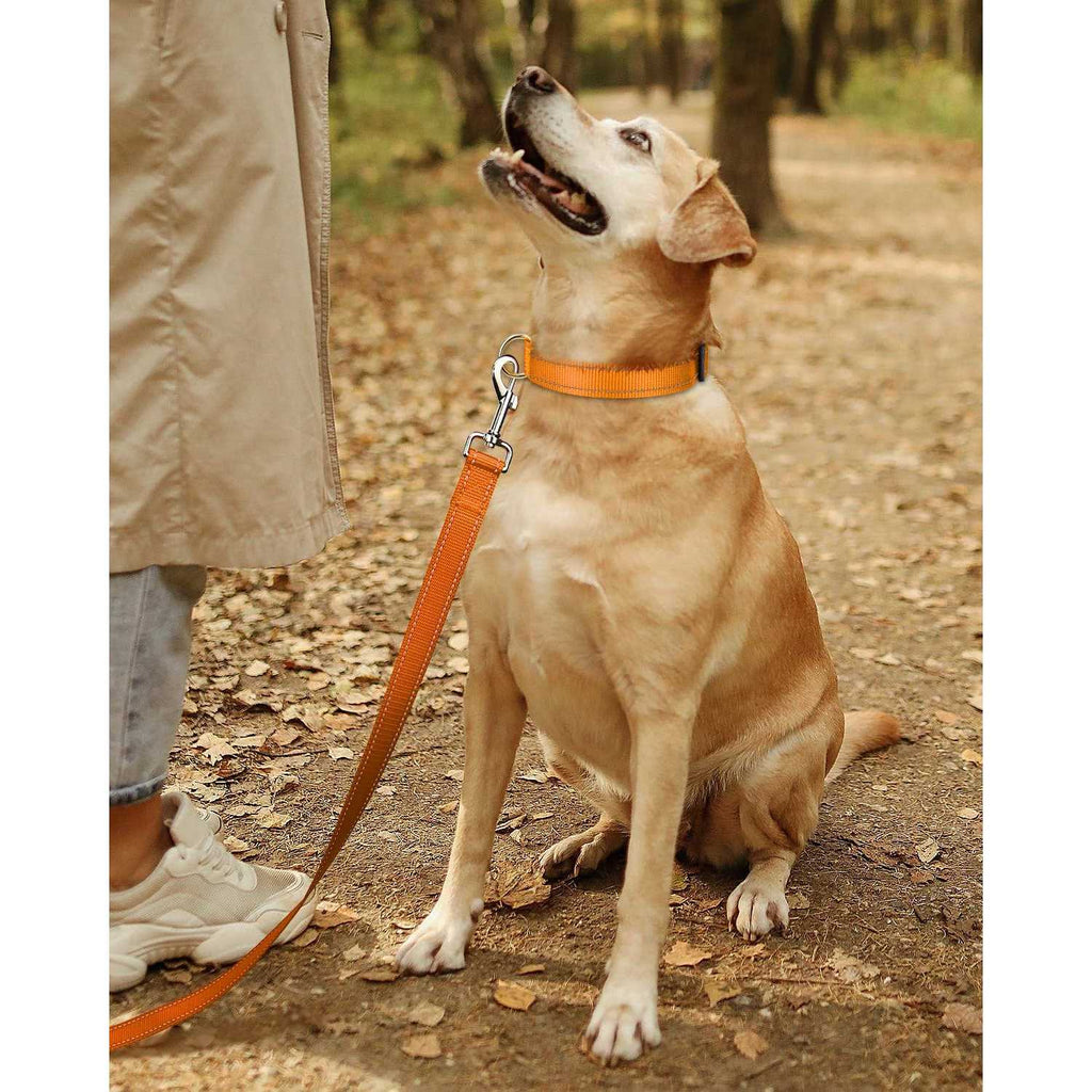 Reflective Nylon Adjustable Dog Collar with Quick Release Buckle I3613