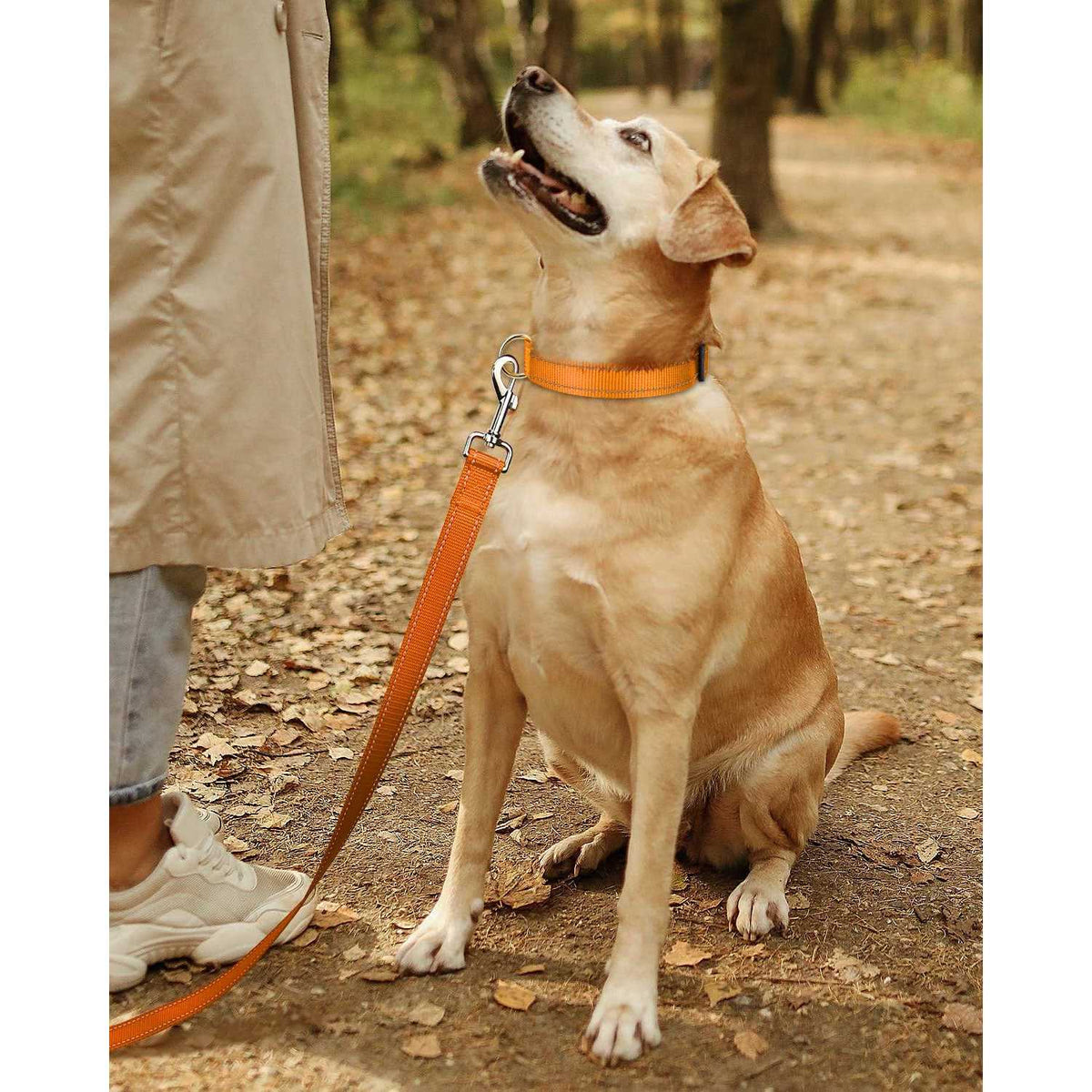 Reflective Nylon Adjustable Dog Collar with Quick Release Buckle I3613