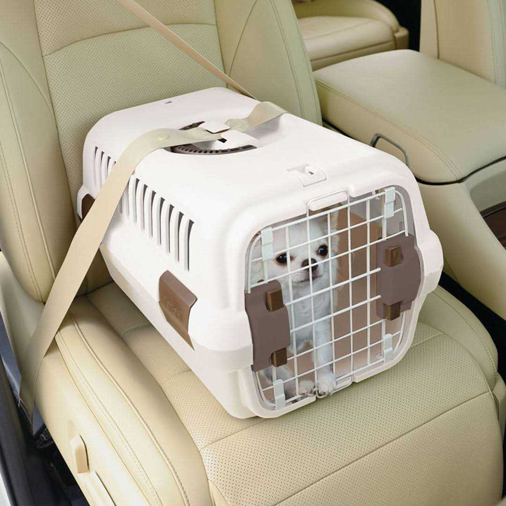Pet Travel Carrier B854