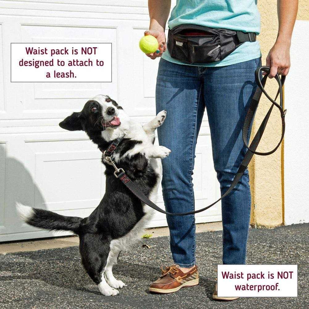 Dog Treat Training Pouch with Waste Bag Dispenser Z556815