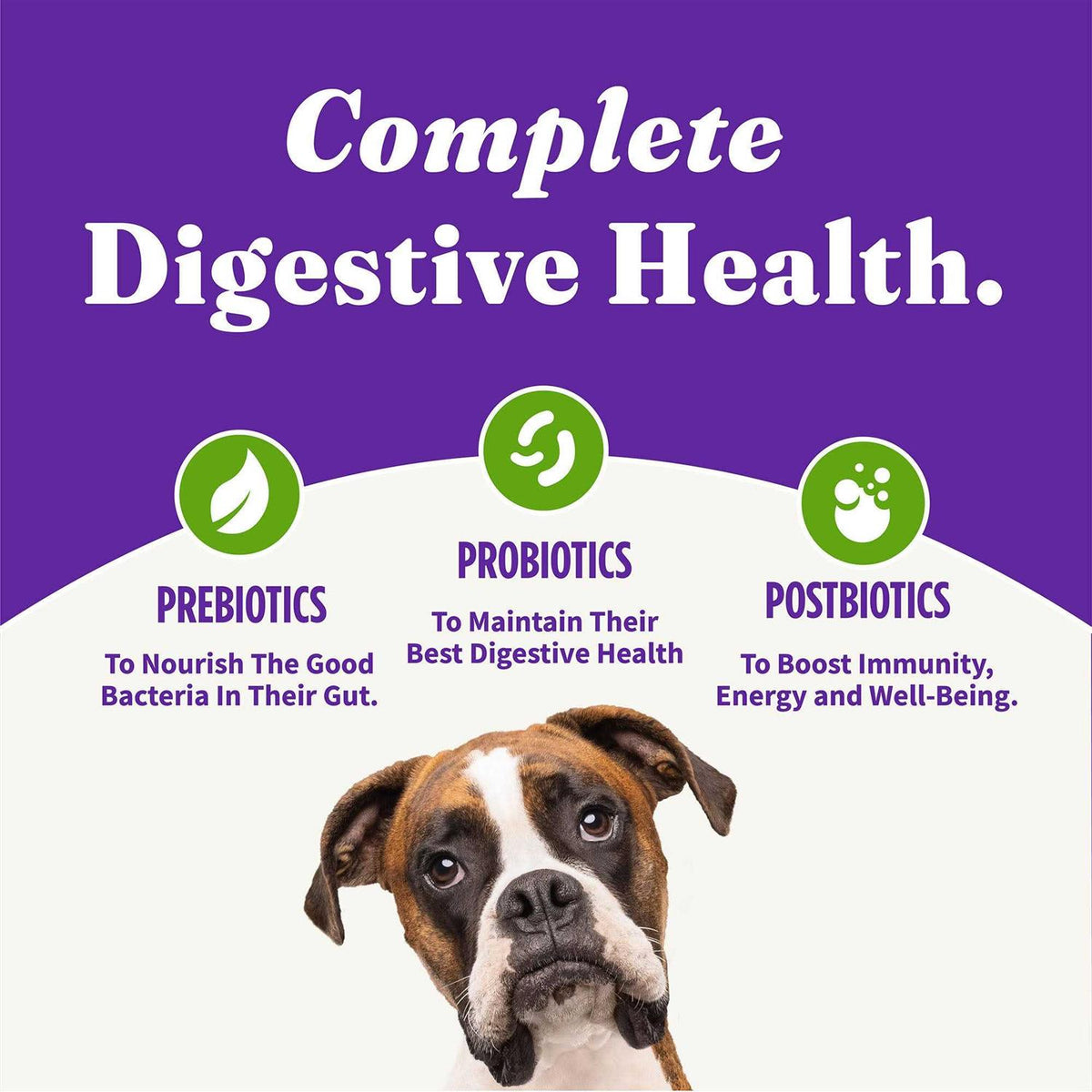 Vegan Plant-Based Dry Dog Food E78409