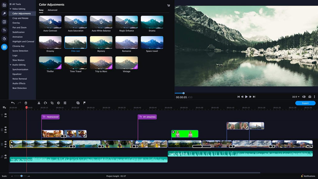Movavi Video Editor Plus 2021 Personal license Pack of 2 N844