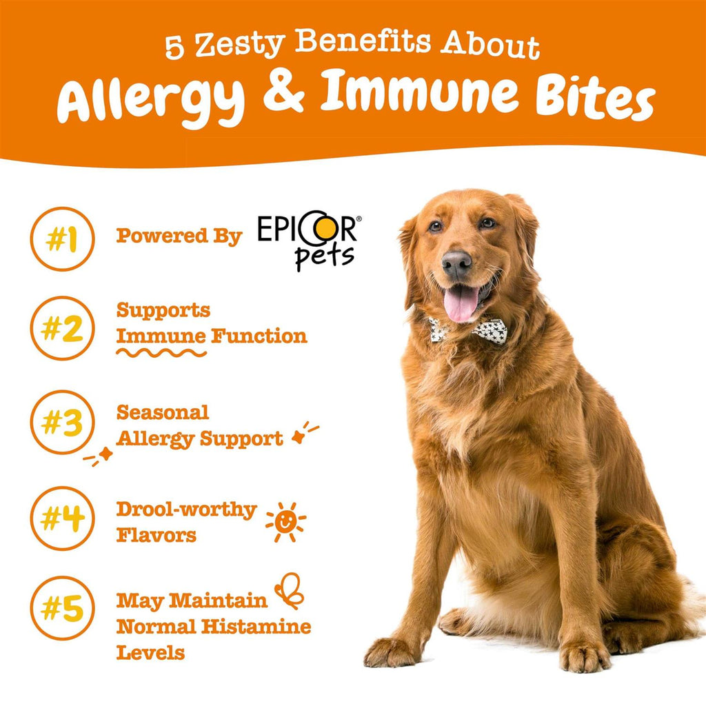 Salmon Allergy & Immune Bites for Dogs C547