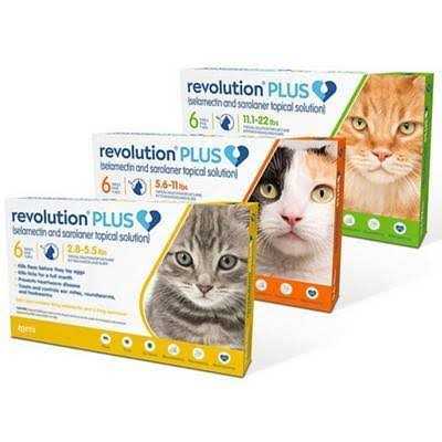 Revolution Plus for Cats 11.1 V942655