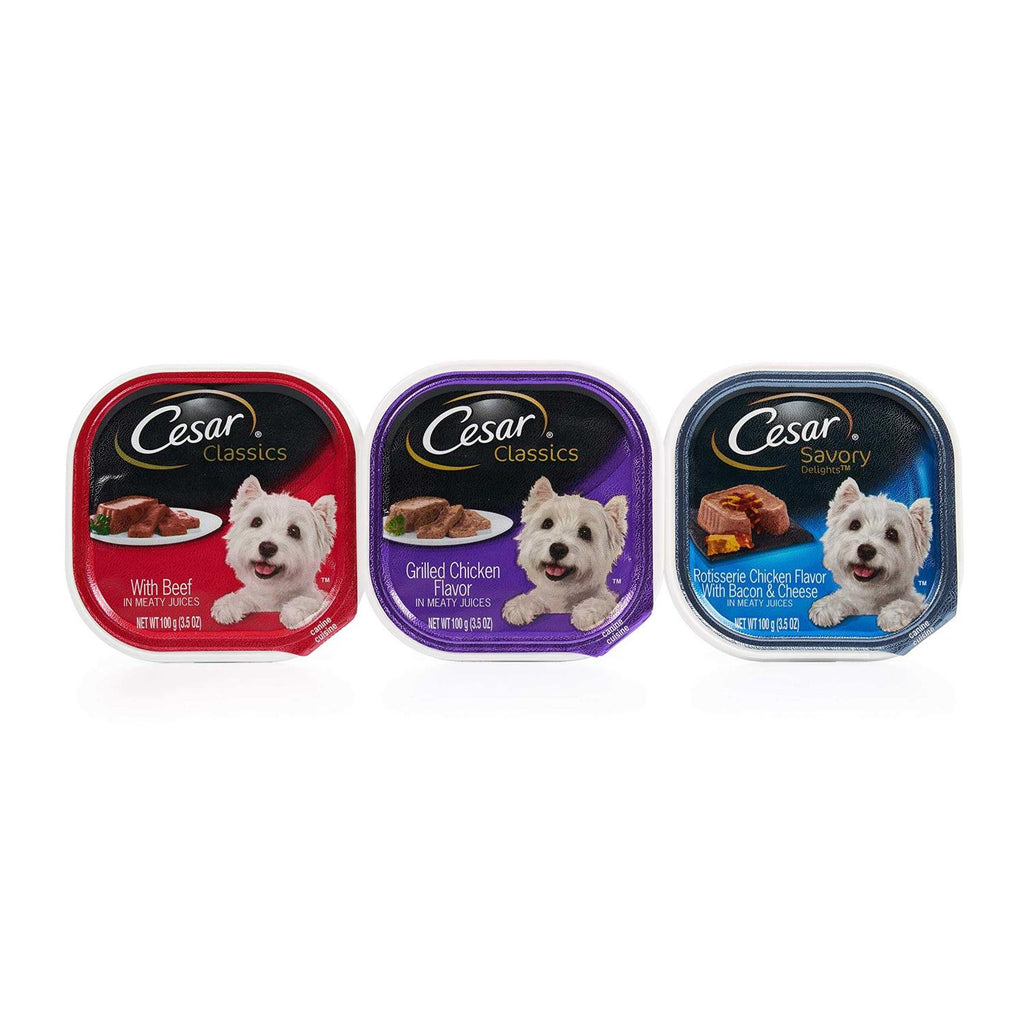 Wet Dog Food D82031