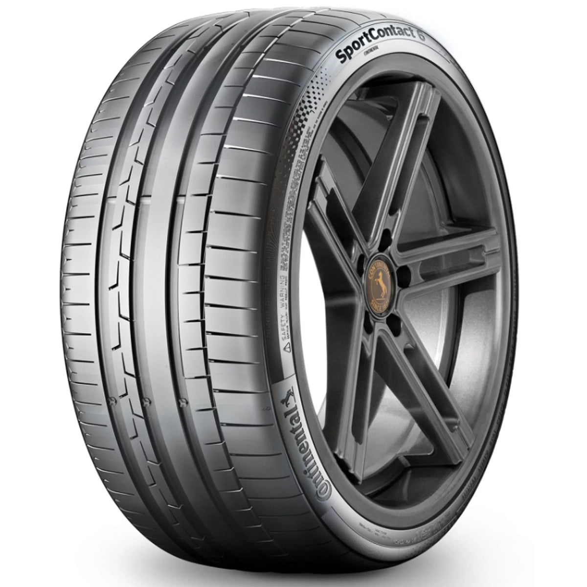 275/45R21 107Y Summer Passenger Tire F108864