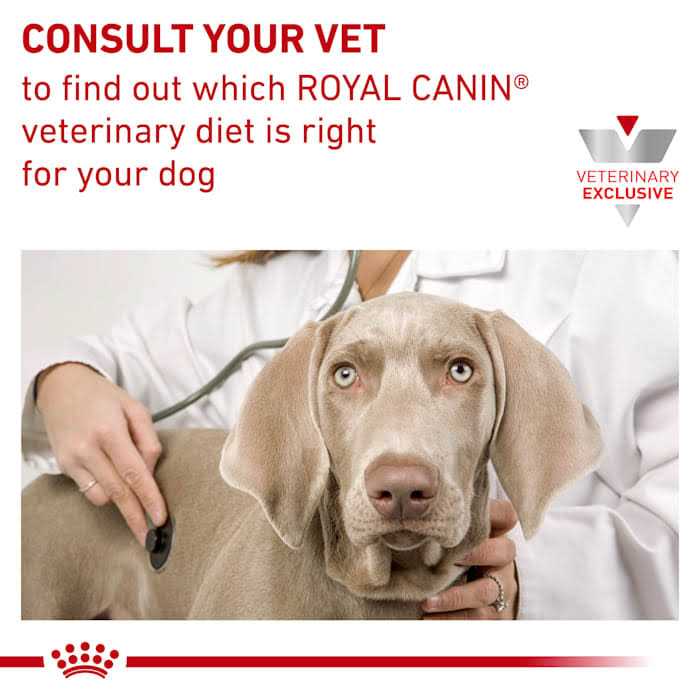 Veterinary Diet Dry Dog Food N900