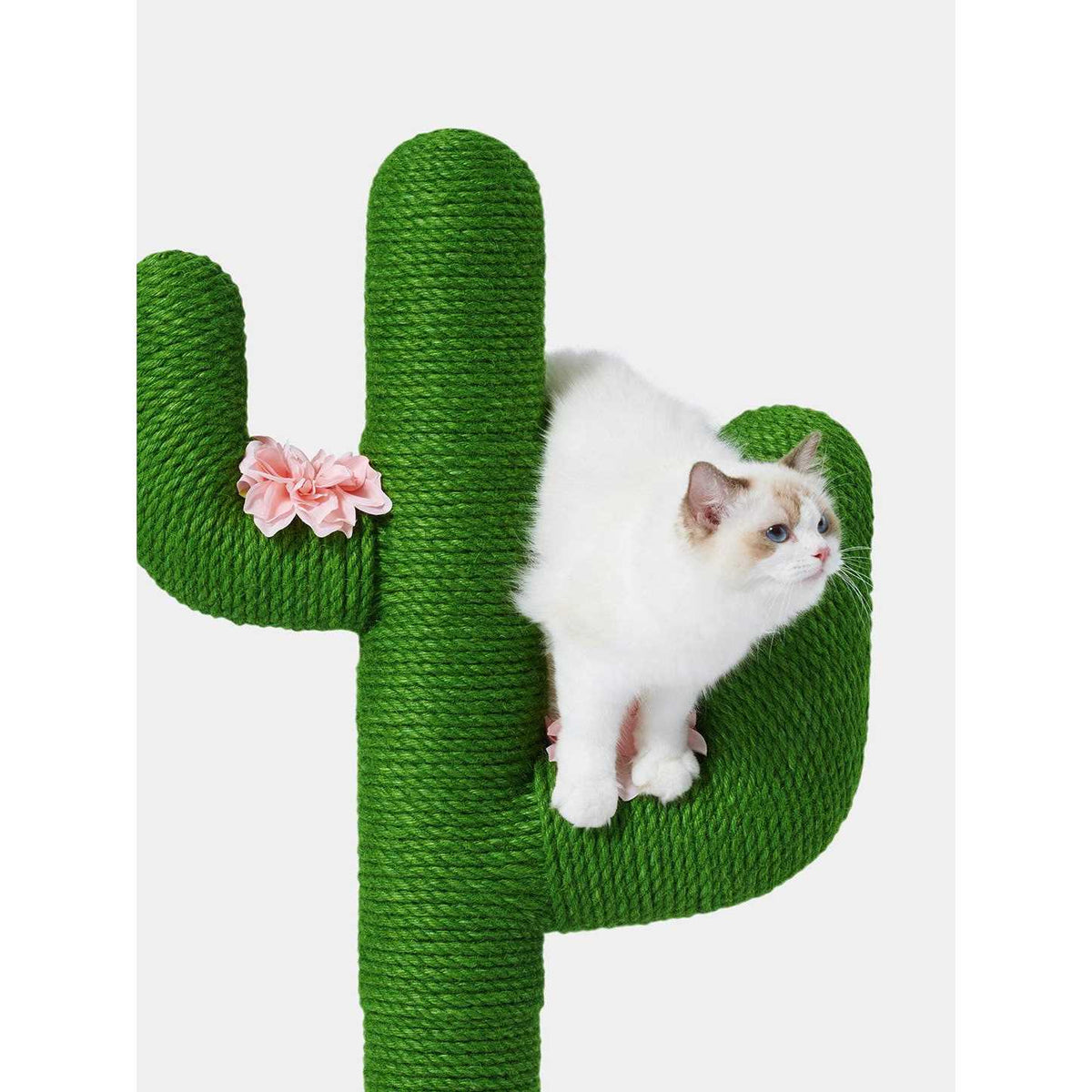 Cactus Cat Tree Scratching Post Y110