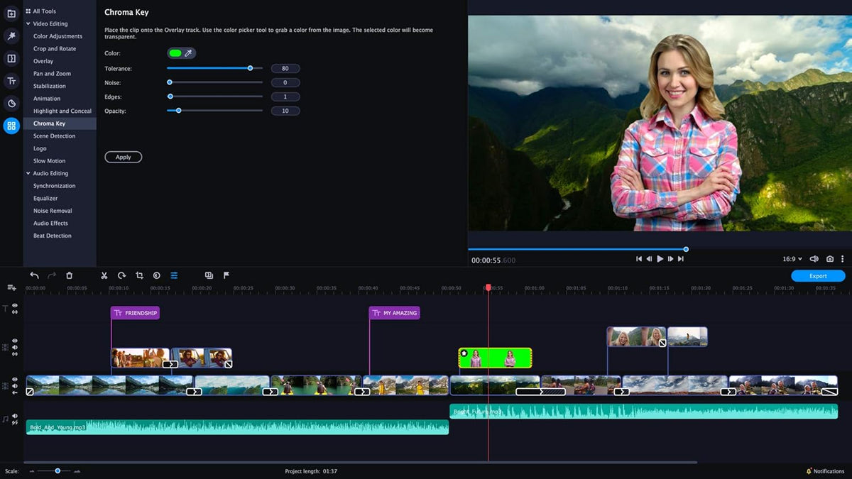 Movavi Video Editor Plus 2021 Personal license Pack of 2 N844