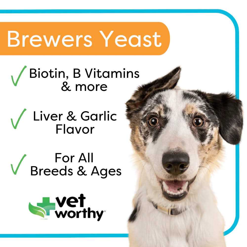 Brewers Yeast Chewable Tablets for Dogs J53419