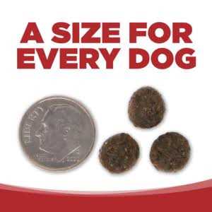 Beef & Red Lentils Grain Free Dry Dog Food Y2924