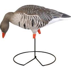 Full-Body Specklebelly Decoy Pack O6523
