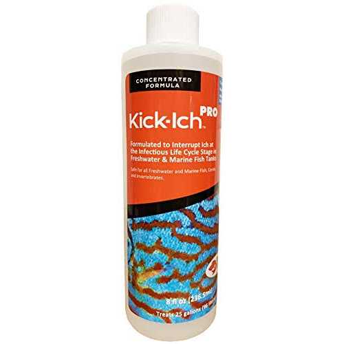Kick Ich Pro N701529