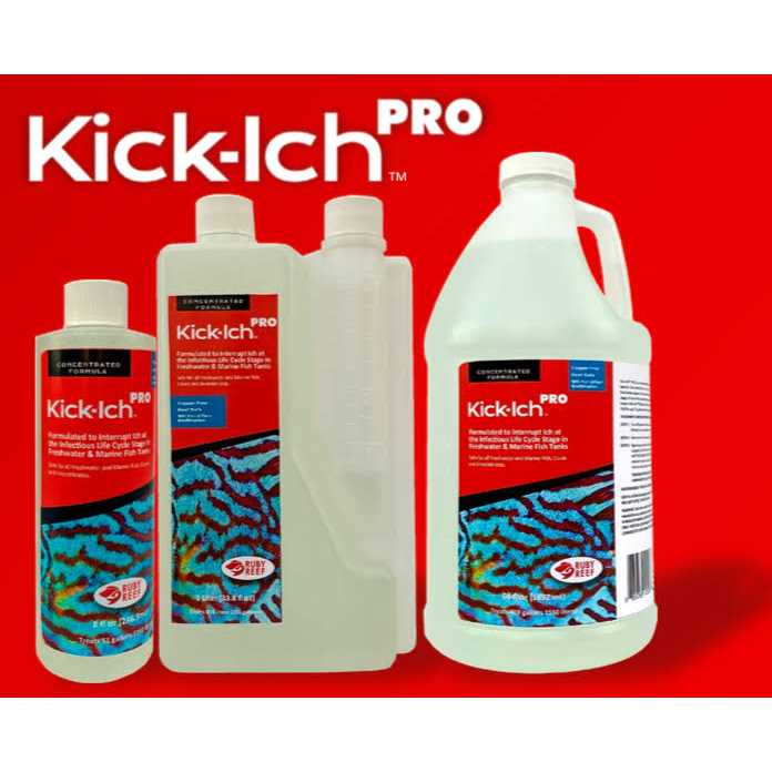 Kick Ich Pro N701529